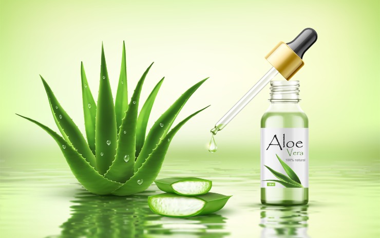 Aloe