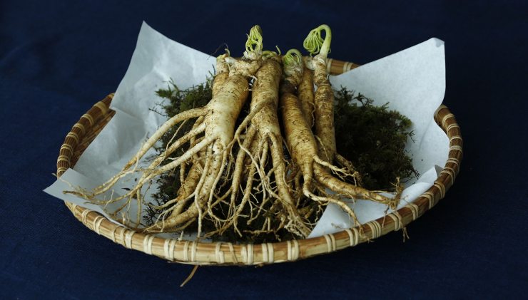 Ginseng